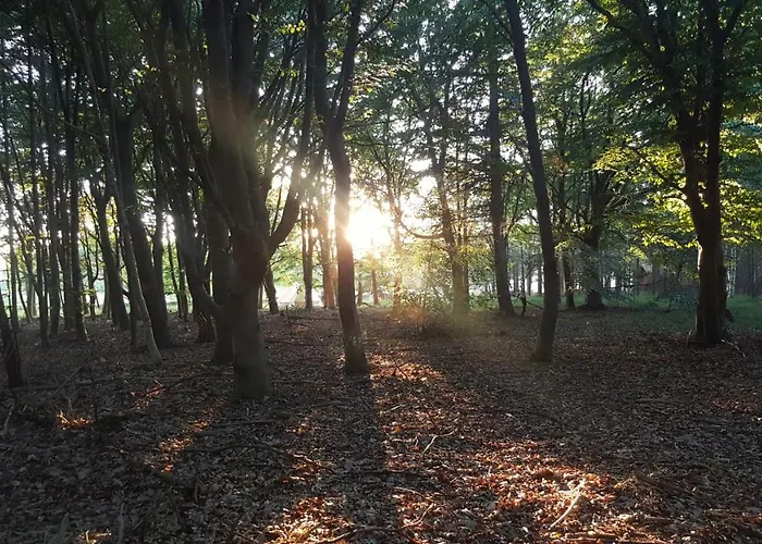 Glamping Pod Im Wald Mit Hund