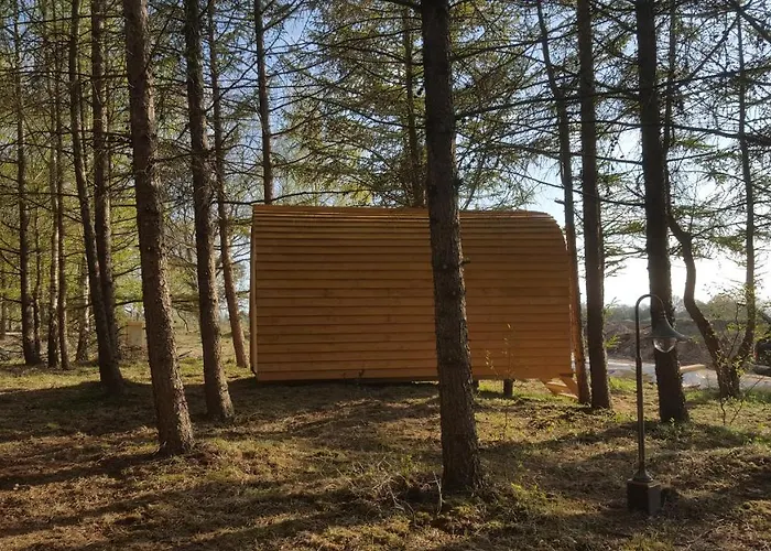Glamping Pod Im Wald Mit Hund