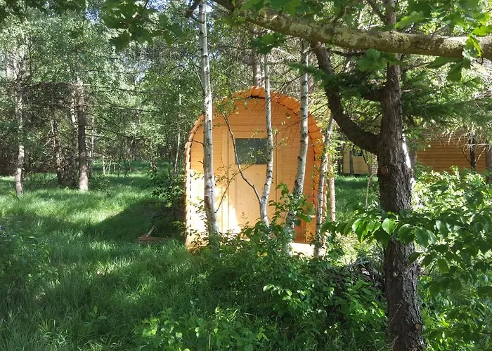 Glamping Pod Im Wald Mit Hund