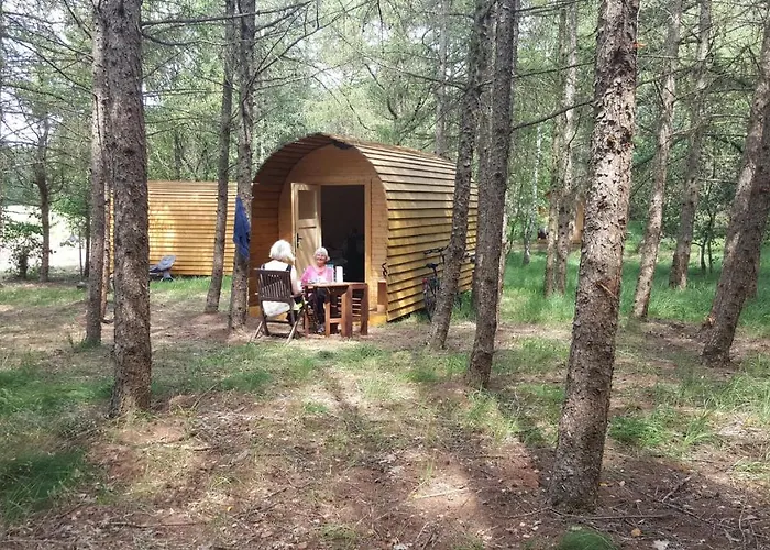 Glamping Pod Im Wald Mit Hund