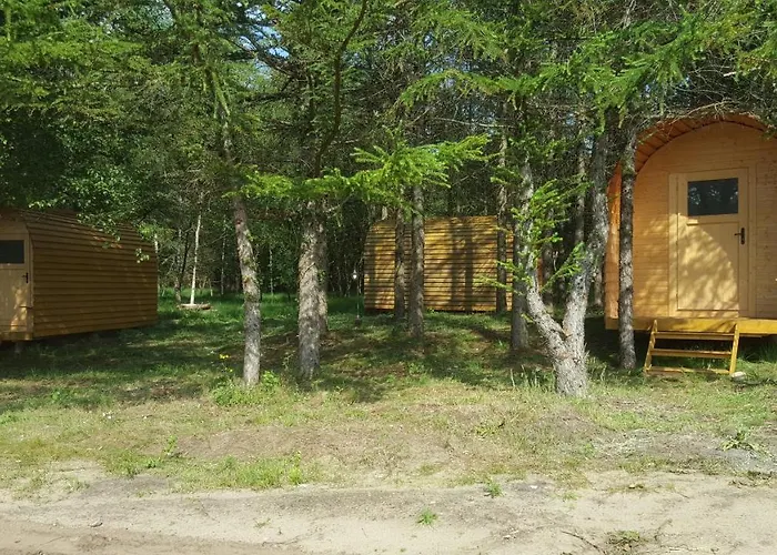 Glamping Pod Im Wald Mit Hund