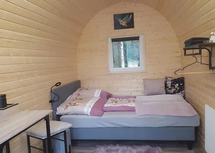 Glamping Pod Im Wald Mit Hund