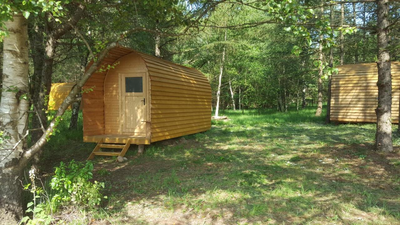 Glamping Pod Im Wald Mit Hund Campsite