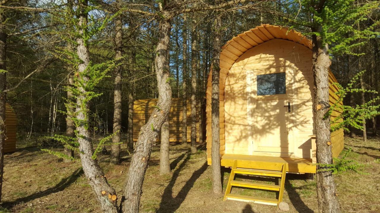 Glamping Pod Im Wald Mit Hund Nordholz