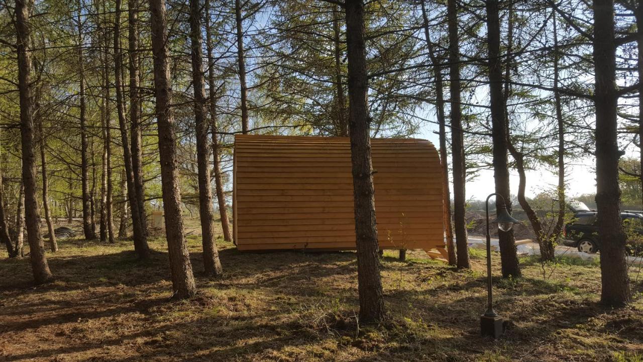 Glamping Pod Im Wald Mit Hund Campsite Nordholz