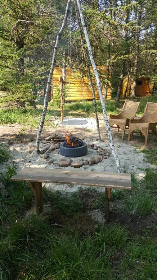 Campsite Glamping Pod Im Wald Mit Hund *