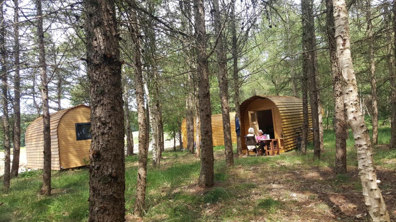 Kemping Glamping Pod Im Wald Mit Hund Nordholz