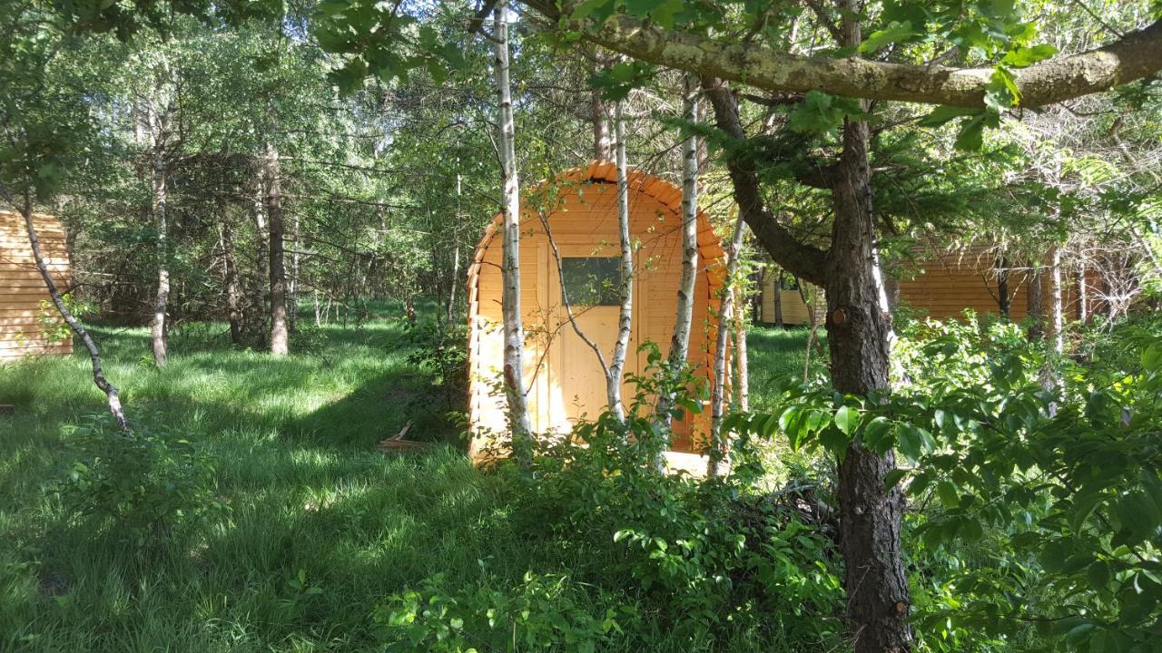 Glamping Pod Im Wald Mit Hund Nordholz