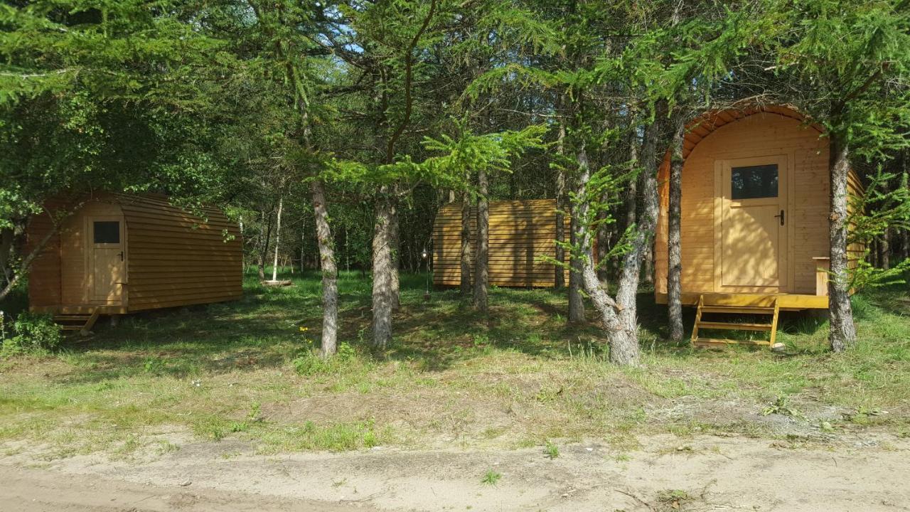 Glamping Pod Im Wald Mit Hund Campsite